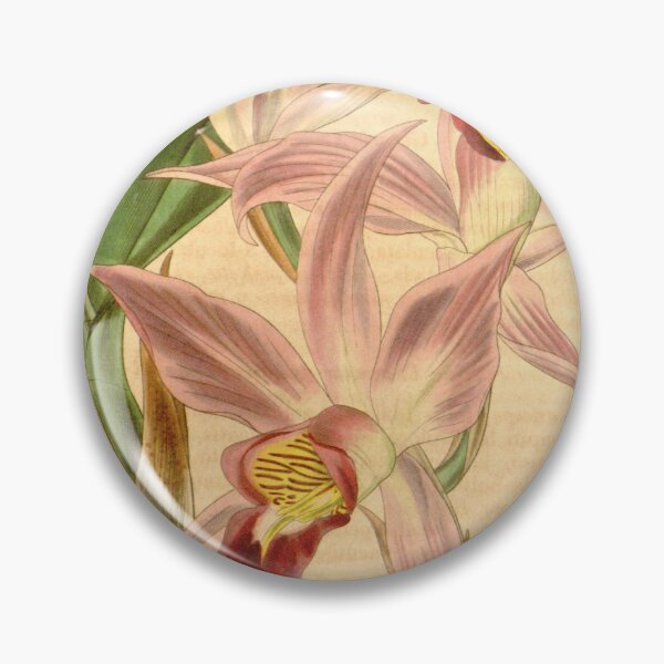 Item preview, Laelia anceps Curtis' 67 (N.S. 14) pl. 3804 (1841) designed and sold by EsotericBotanic.