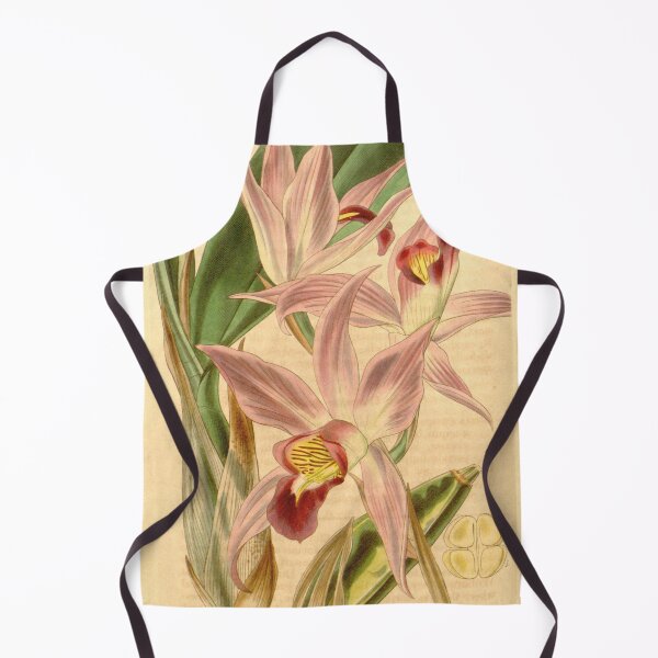 Item preview, Laelia anceps Curtis' 67 (N.S. 14) pl. 3804 (1841) designed and sold by EsotericBotanic.