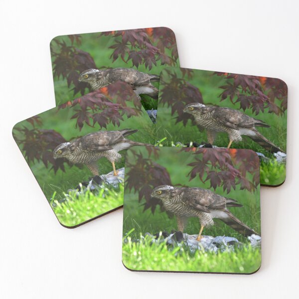 Item preview, Sparrowhawk designed and sold by RobinDHunter.