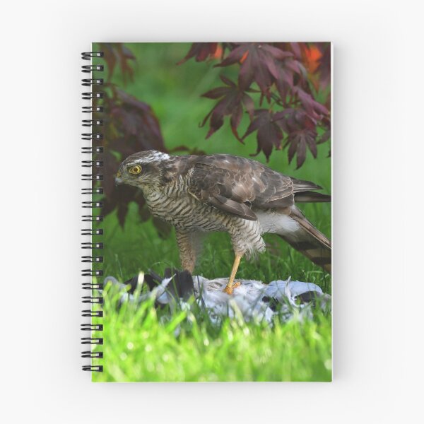 Item preview, Sparrowhawk designed and sold by RobinDHunter.