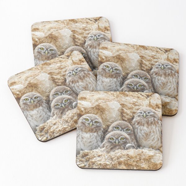 Item preview, Little Owl Family Portrait - Athene noctua Owlets designed and sold by Dan Shachar.