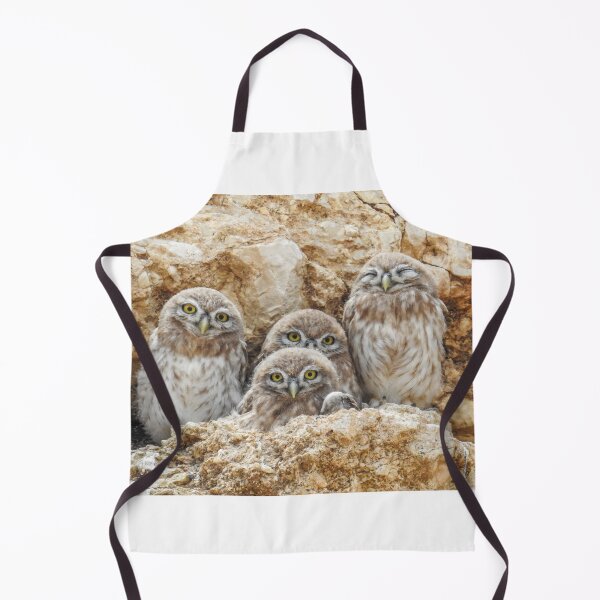 Item preview, Little Owl Family Portrait - Athene noctua Owlets designed and sold by Dan Shachar.