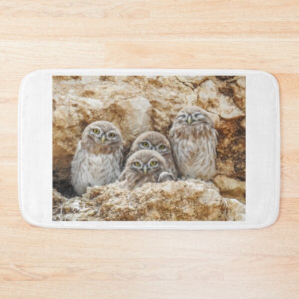 Item preview, Little Owl Family Portrait - Athene noctua Owlets designed and sold by Dan Shachar.