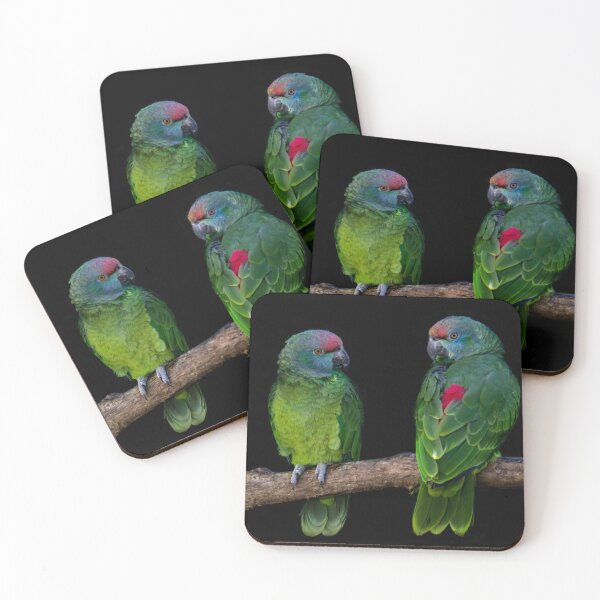Item preview, Lilac Crowned Parrot designed and sold by KRBailey.