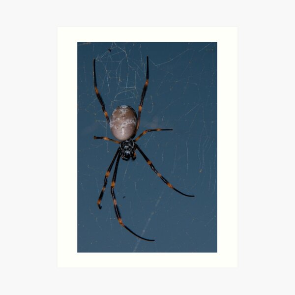 Waiting for dinner Art Print