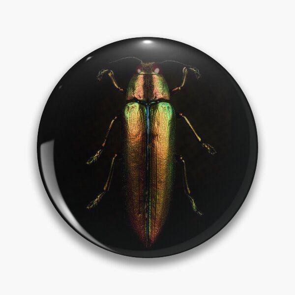 Item preview, Metallic Jewel Beetle designed and sold by KRBailey.