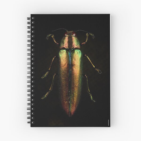 Item preview, Metallic Jewel Beetle designed and sold by KRBailey.