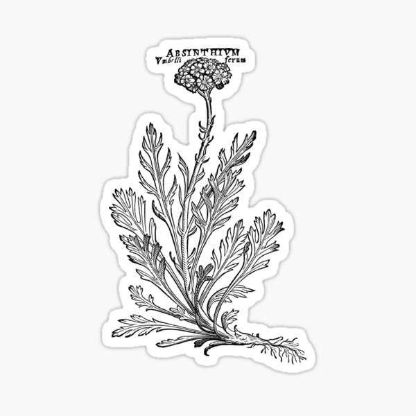 Item preview, Artemisia Absinthium plant woodcut illustration designed and sold by herracaligari.