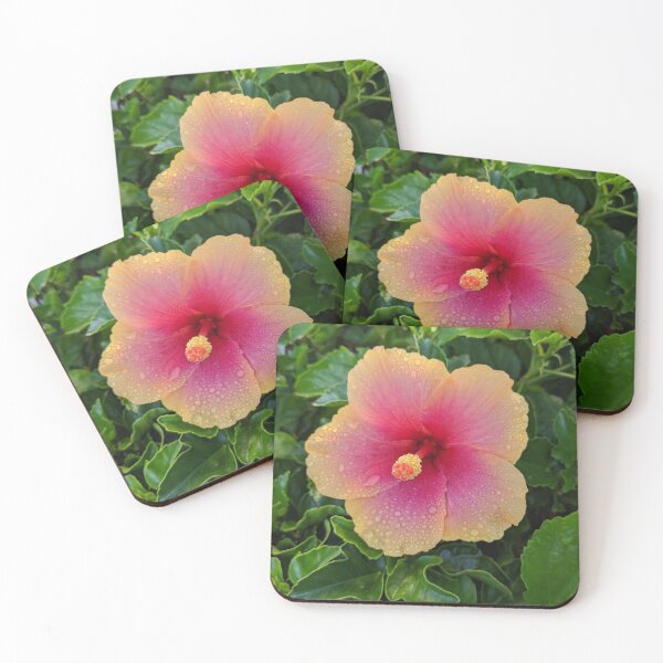 Aperçu de l'œuvre Hibiscus créée et vendue par TabithaMalone.