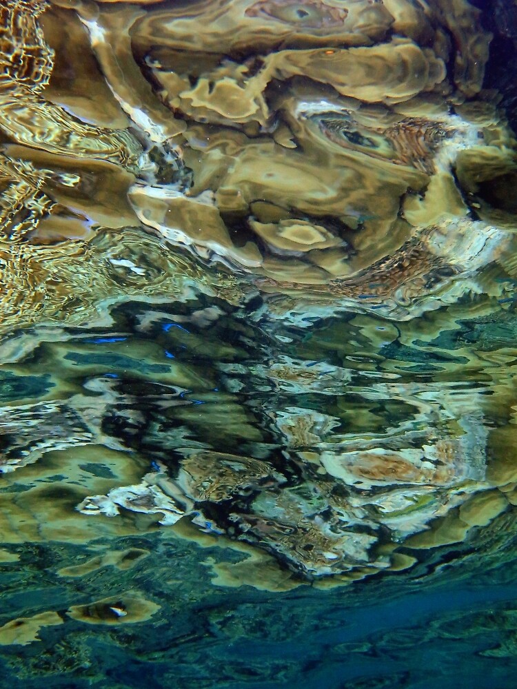 Reeflections at Sanaroa by neoniphon