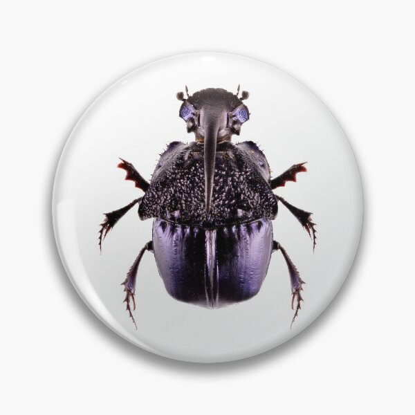 Item preview, Purple Dung Beetle (Phanaeus quadridens) designed and sold by Tim Christensen.
