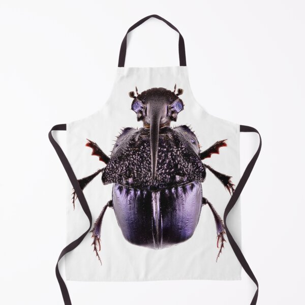 Item preview, Purple Dung Beetle (Phanaeus quadridens) designed and sold by Tim Christensen.