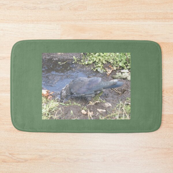 Item preview, Jackdaw Rooting in the Mud Photograph designed and sold by naturegallery.
