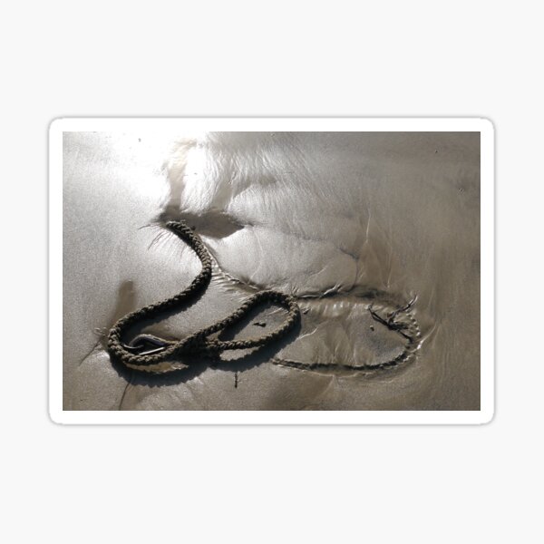 Item preview, Curvy washed up rope at Lyme Regis 2016-02-11 designed and sold by lynn carter.