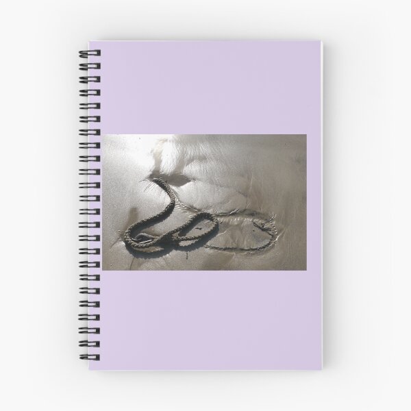 Item preview, Curvy washed up rope at Lyme Regis 2016-02-11 designed and sold by lynn carter.