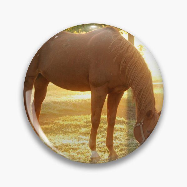 Item preview, Beautiful Brown Horse designed and sold by newburyboutique.