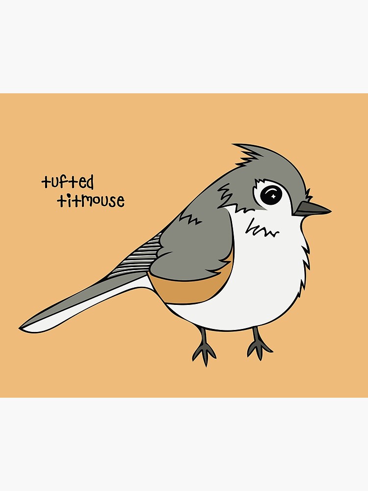 Tufted titmouse Funny Bird watching Gift for Men and Women T-Shirt