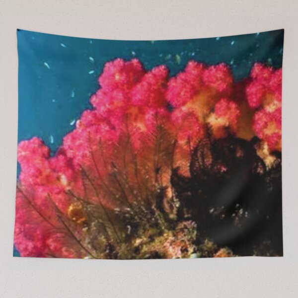 Item preview, The Magic Of Underwater World Photo designed and sold by Andjela Bakos.