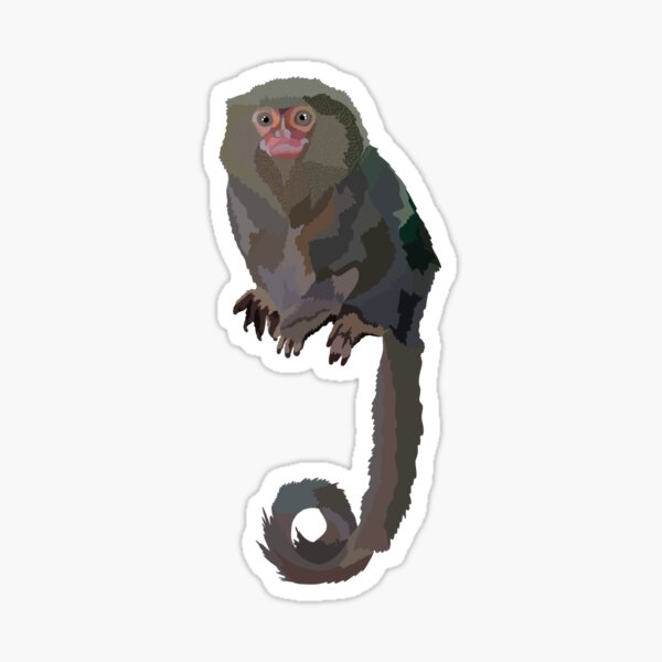 Item preview, P is for Pygmy Marmoset  designed and sold by thezoogirl.