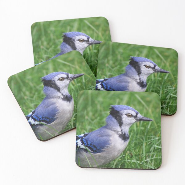 Item preview, Bluejay designed and sold by cherylorraine.
