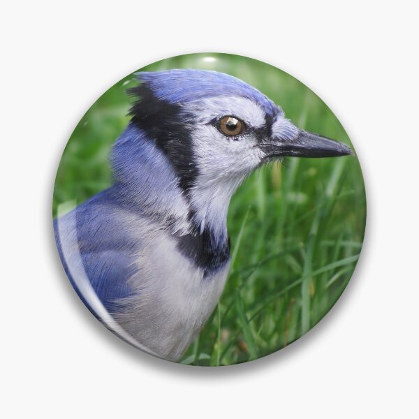 Item preview, Bluejay designed and sold by cherylorraine.
