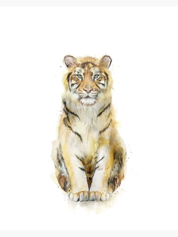 Tiger // Sound by AmyHamilton