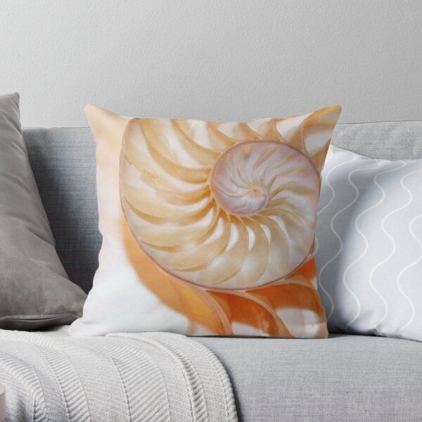 Nautilus shell fibonacci fond de ratio d'or Coussin