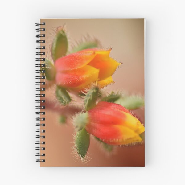 Item preview, Cactus floreciente designed and sold by Deborah Berry.
