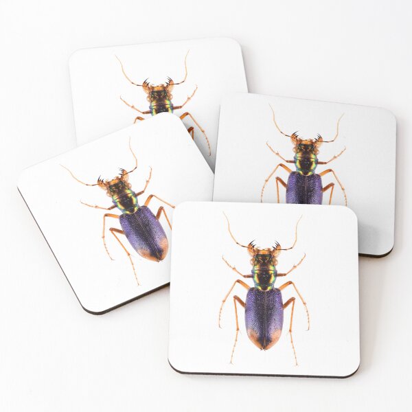Item preview, Metallic Tiger Beetle (Tetracha spixii opulenta) designed and sold by Tim Christensen.
