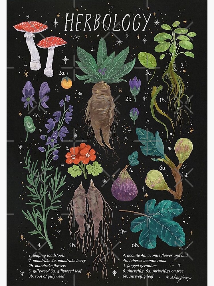 Herbology by glossyheaven