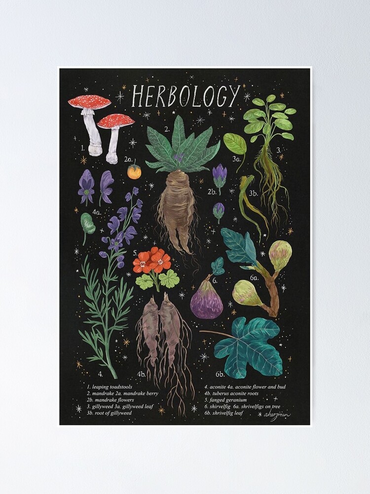 Alternate view of Herbology Poster
