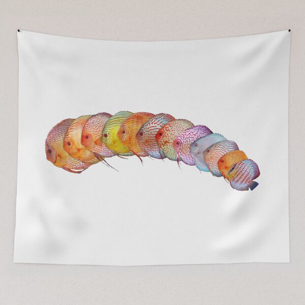 Item preview, Discus Fish from Amazon designed and sold by killies.