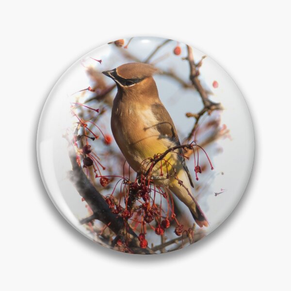 Item preview, Cedar Waxwing in the Fall designed and sold by jning.