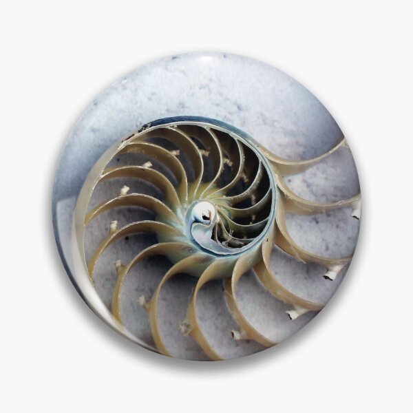 Item preview, Nautilus shell natural nature background ocean animal minimal minimalist designed and sold by cheekylorns.