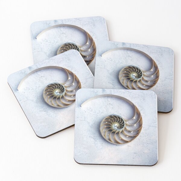 Item preview, Nautilus shell natural nature background ocean animal minimal minimalist designed and sold by cheekylorns.