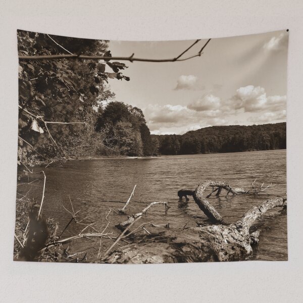 Item preview, Downed Tree in a Lake designed and sold by GrannysGarage.