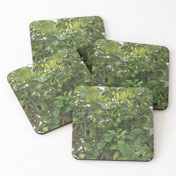 Item preview, Lime tree with fresh green limes designed and sold by wineandwords.