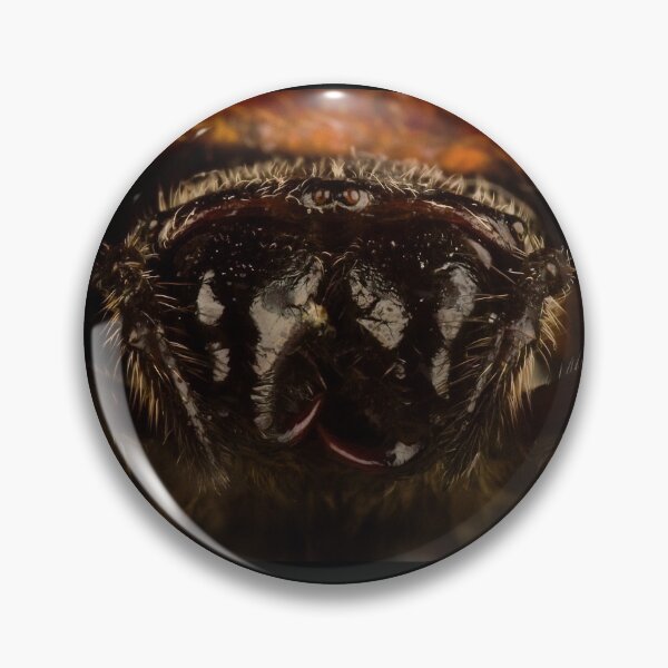 Item preview, Kite Spider Portrait designed and sold by KRBailey.