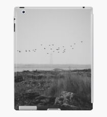 Cape Sable Birds iPad Case/Skin