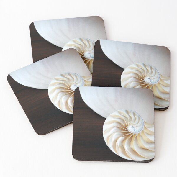 Item preview, shell pearl nautilus background natural minimal minimalist  designed and sold by cheekylorns.