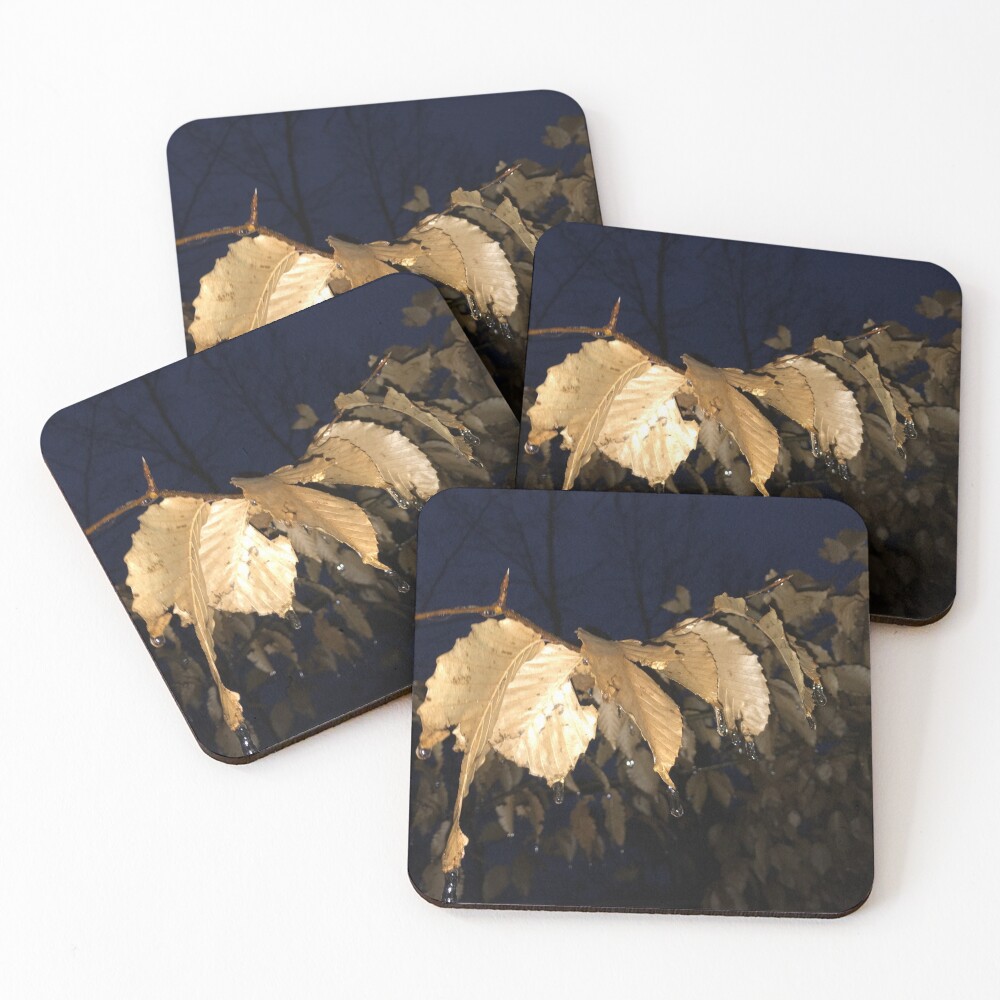 Item preview, Coasters (Set of 4) designed and sold by Rickybooby.