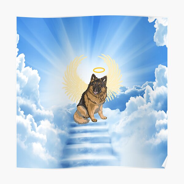 angel wings on dogs - Google Search