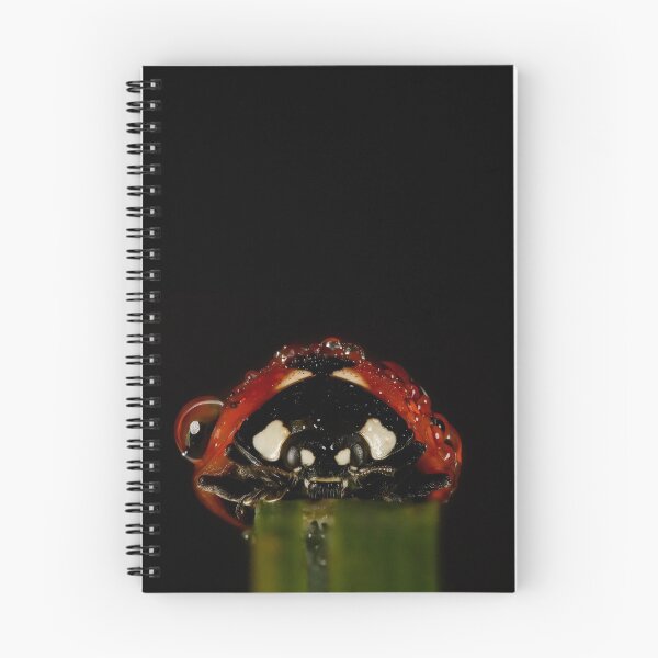 Aperçu de l'œuvre Portrait de coccinelle créée et vendue par KRBailey.