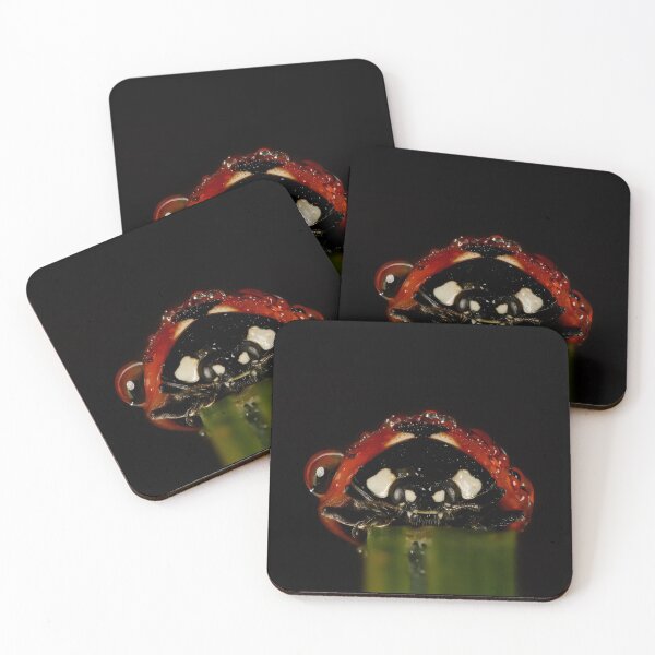 Item preview, Lady Bug Portrait  designed and sold by KRBailey.