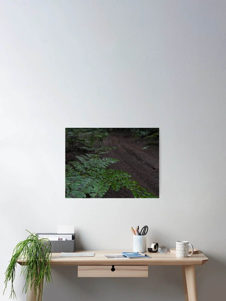 Thumbnail 2 of 3, Poster, Nature trails designed and sold by Rickybooby.