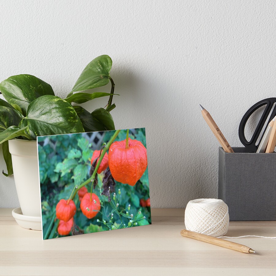 Item preview, Art Board Print designed and sold by Rickybooby.