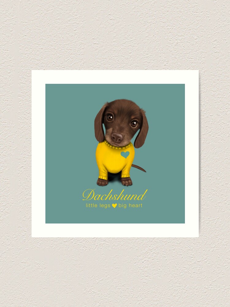 Dachshund Little Legs, Big Heart