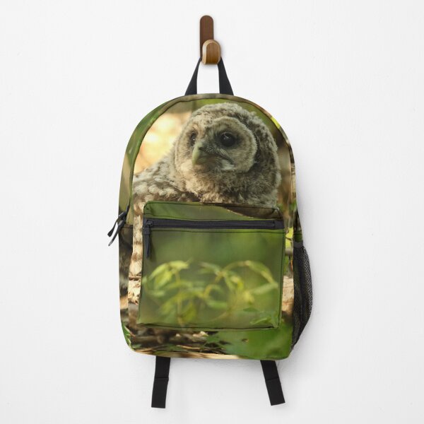Item preview, Baby barred owlet on forest floor designed and sold by locustgirl.