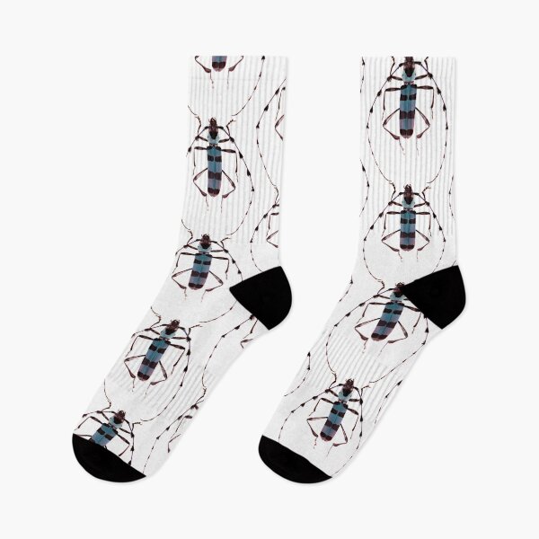 Item preview, Long-Horned Beetle (Rosalia lameerei) designed and sold by Tim Christensen.