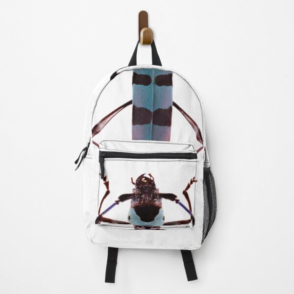 Item preview, Long-Horned Beetle (Rosalia lameerei) designed and sold by Tim Christensen.